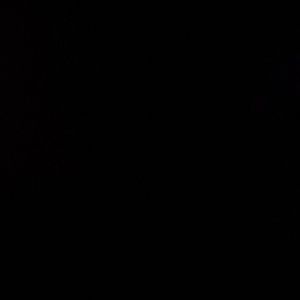 Meet your Posher, Carly